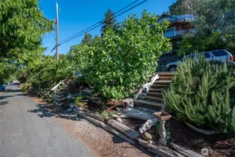 Chilberg Link is a community garden along Chilberg Ave SW. Right across from the parking area.