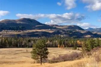 Level pasture partially fenced for your animals.