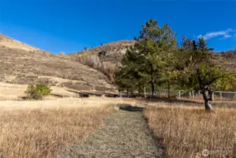 A number of mature fruit trees can be found along mowed paths to pasture.
