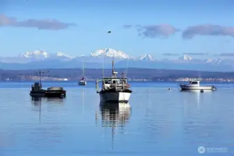 The Langley Marina is located off Wharf St downtown.