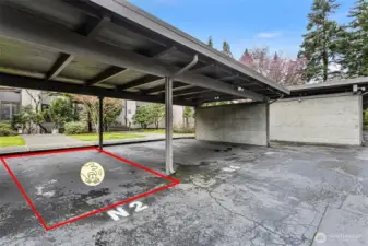 Deeded covered parking spot as close to the unit as you can get!