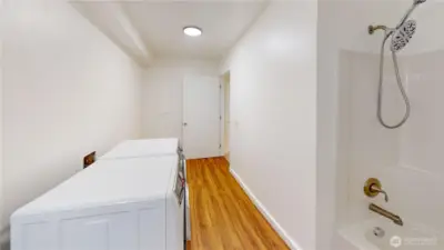 Lower level Bathroom