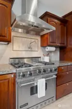 Viking Professional Stove