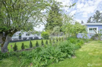 Natural garden area featuring a variety of plants that enhance the landscape with color, texture, and seasonal interest.