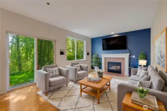 Family Room Virtual Stage
