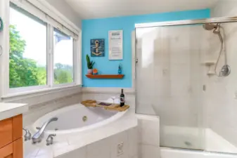Primary Suite spa bathroom