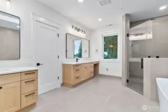 Wand control systems on both shower and tub. Tons of natural light with skylight and window.