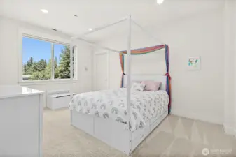 Additional bedroom with walkin closet.
