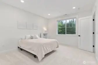 Additional bedroom with walkin closet.