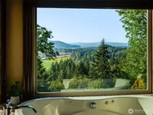 Bubble bath + breathtaking views = perfection.