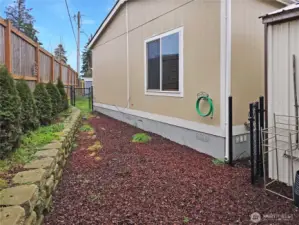 Back yard