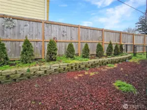 Back yard