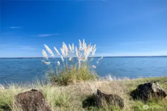 VIEW OF THE BAY TOWARD TOWN! DURING LOW TIDE YOU WILL SEE SEALS AND OTHER WILDLIFE!