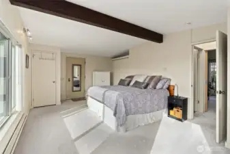 Oversized, spacious top floor bedroom with separate washer/dryer in the walk-in closet.