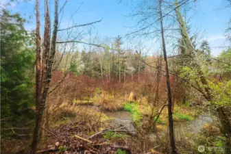 Beyond the yard is this Greenbelt