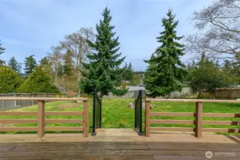 Overlooking the backyard from the deck.