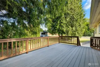 This deck is massive! Great for entertaining and access to backyard