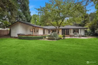 Large lawn and backdoor space.