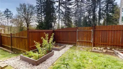 Raised garden beds and gate to front yard