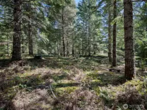 Acreage