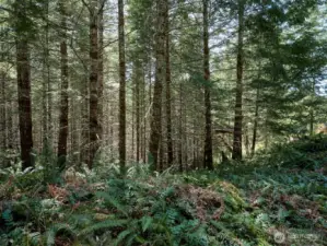 Acreage