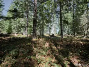Acreage