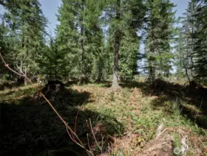 Acreage