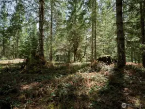 Acreage