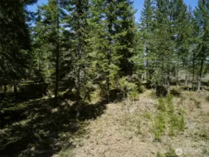Acreage on North side of Loowit Lane