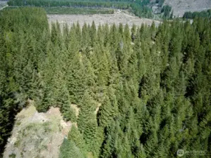 Acreage