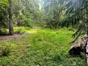 Cleared homesite area or bring your RV and enjoy camping on the Olympic Peninsula!