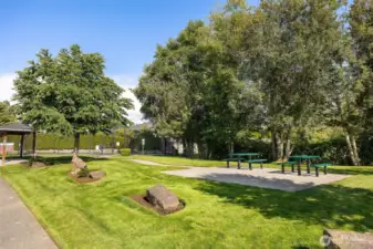 Community Park