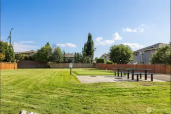 Community Park #2