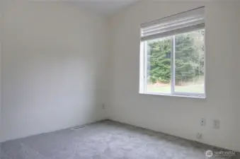 New Carpet!