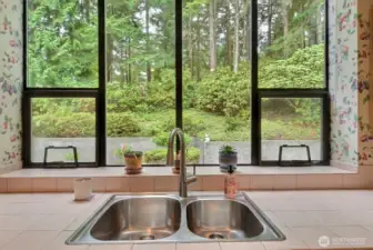 View of back yard area from kitchen