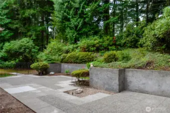 Back Patio Area