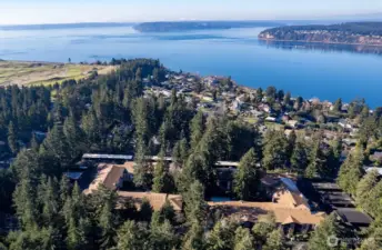 Ariel view of Regency Condominium, Chambers Bay, and Chambers Bay Golf Course.