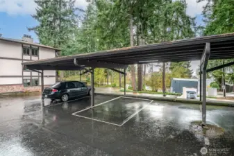 Carport just outside deck.