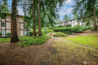 Plenty of green space in the community