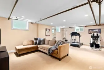 A thoughtfully designed lower level that balances entertainment, fitness and lifestyle. Brand new windows added in 2025.