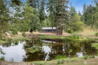 Imagine waking up to this—your own private pond, tall evergreens, and a peaceful cabin retreat on 5 acres.
