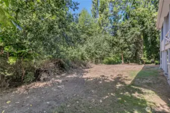 Backyard. Looks grim with summer's heat.  Enough blackberries for pie and jam! Trail head in center of picture. Room for swings, puppies, your imagination!!