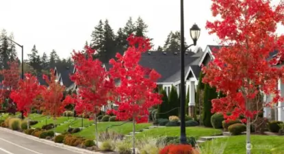 Ovation at Oak Tree - Community Photos