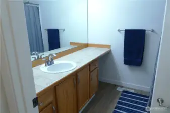 Primary Suite Bath (1)