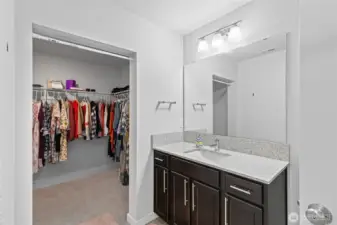 walk in closet and bathroom sink