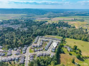 drone shot monroe woodlands neighborhood