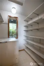 Walk-in pantry is just off of kitchen, chest freezer stays with home