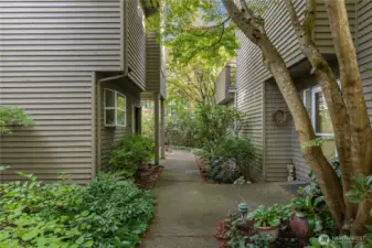 Serene, garden pathways