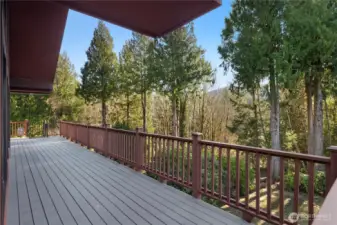 Looking out towards the back of the property from the deck.