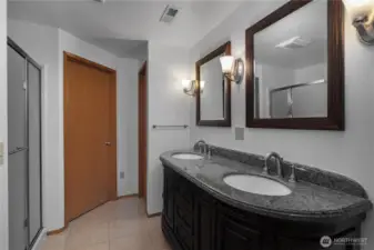 Lower level Primary bathroom